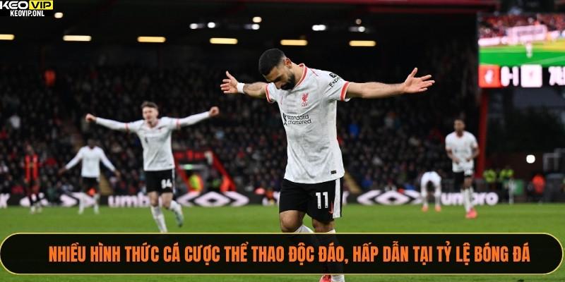 Nhiều hình thức cá cược thể thao độc đáo, hấp dẫn tại Tỷ Lệ Bóng Đá