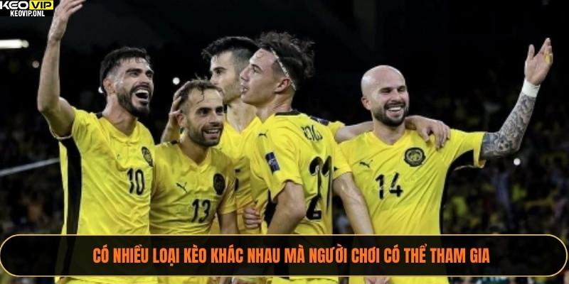 Có nhiều loại kèo khác nhau mà người chơi có thể tham gia