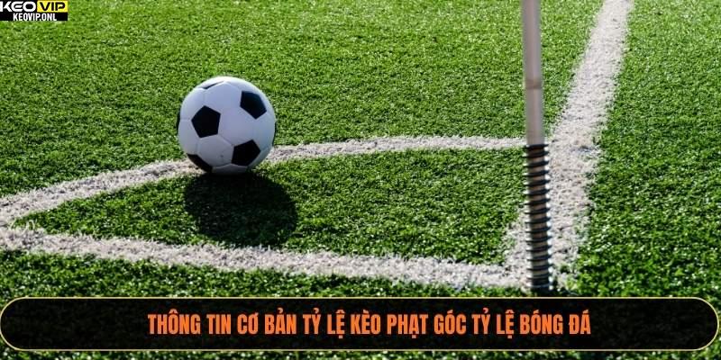 Thông tin cơ bản tỷ lệ kèo phạt góc Tỷ Lệ Bóng Đá